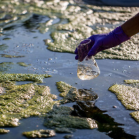 Применение реагента РоялХим